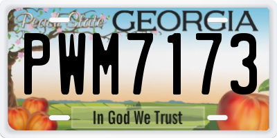GA license plate PWM7173