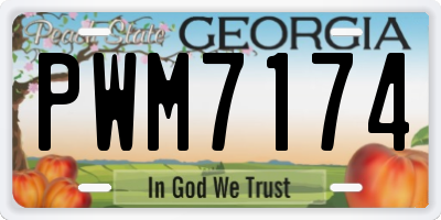 GA license plate PWM7174