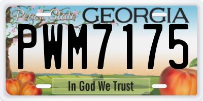 GA license plate PWM7175