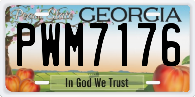 GA license plate PWM7176