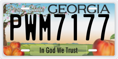 GA license plate PWM7177
