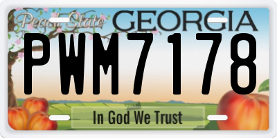 GA license plate PWM7178