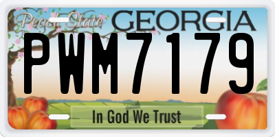 GA license plate PWM7179