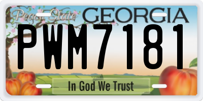 GA license plate PWM7181