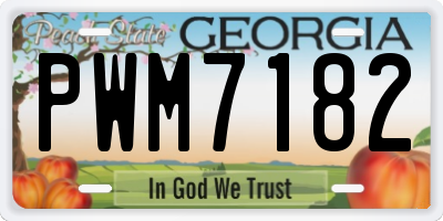 GA license plate PWM7182
