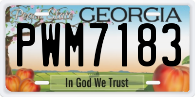 GA license plate PWM7183