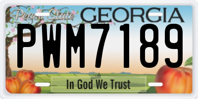 GA license plate PWM7189