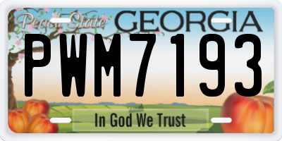 GA license plate PWM7193