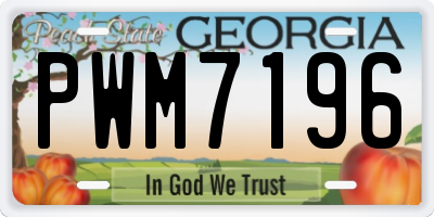 GA license plate PWM7196