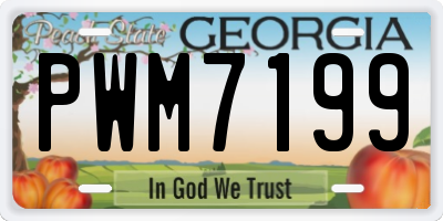 GA license plate PWM7199