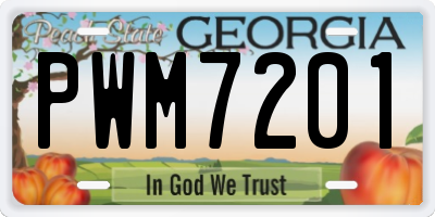 GA license plate PWM7201