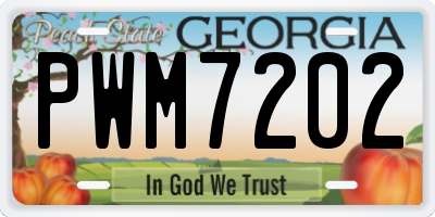 GA license plate PWM7202