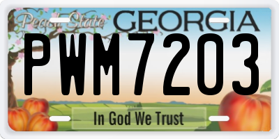GA license plate PWM7203