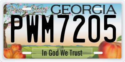 GA license plate PWM7205