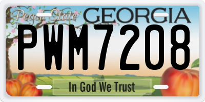 GA license plate PWM7208