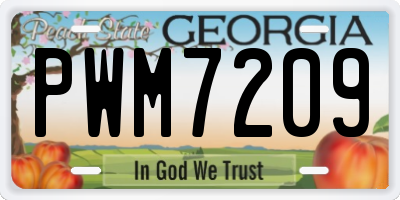 GA license plate PWM7209