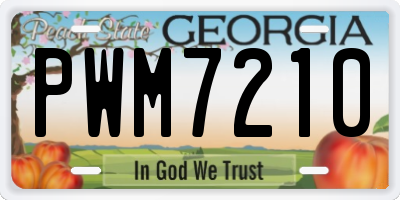 GA license plate PWM7210