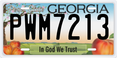 GA license plate PWM7213