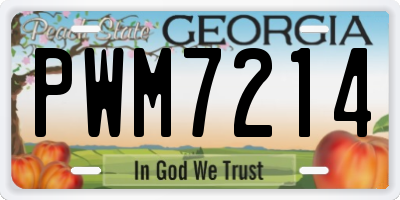 GA license plate PWM7214