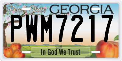 GA license plate PWM7217