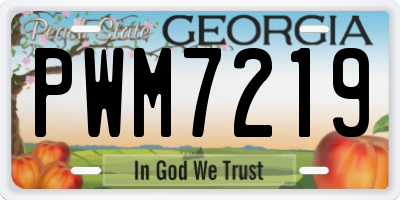 GA license plate PWM7219