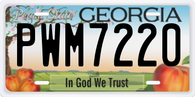 GA license plate PWM7220