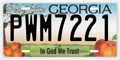 GA license plate PWM7221