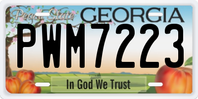 GA license plate PWM7223