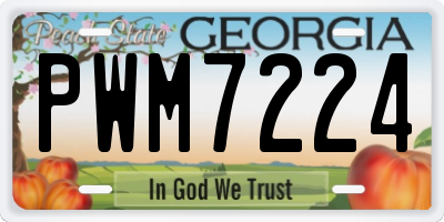 GA license plate PWM7224