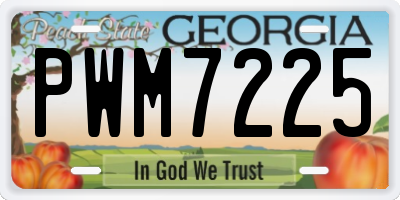 GA license plate PWM7225