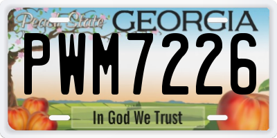 GA license plate PWM7226
