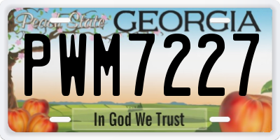 GA license plate PWM7227