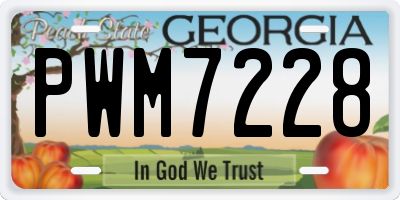 GA license plate PWM7228