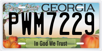 GA license plate PWM7229