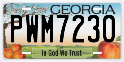 GA license plate PWM7230