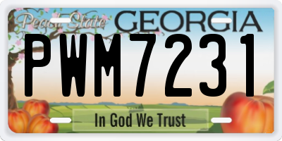 GA license plate PWM7231