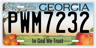 GA license plate PWM7232