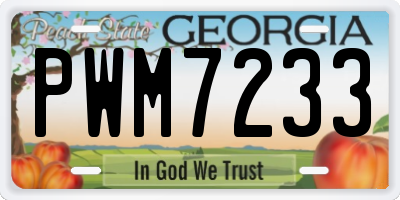 GA license plate PWM7233