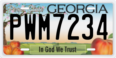 GA license plate PWM7234