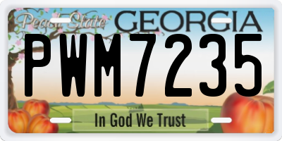 GA license plate PWM7235