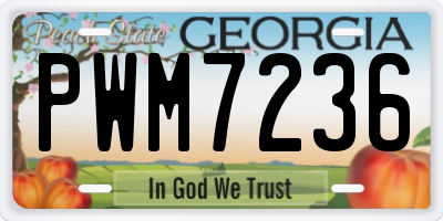 GA license plate PWM7236