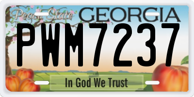 GA license plate PWM7237