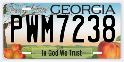 GA license plate PWM7238