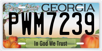 GA license plate PWM7239