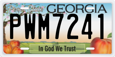 GA license plate PWM7241