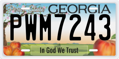 GA license plate PWM7243