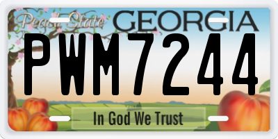 GA license plate PWM7244