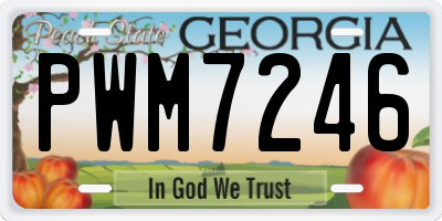 GA license plate PWM7246