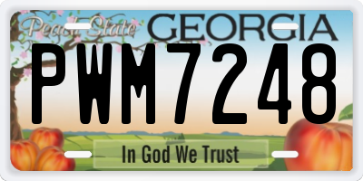 GA license plate PWM7248