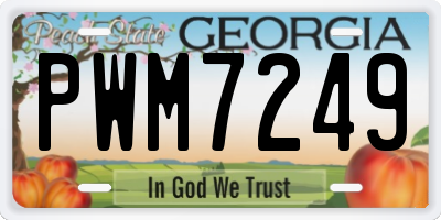 GA license plate PWM7249